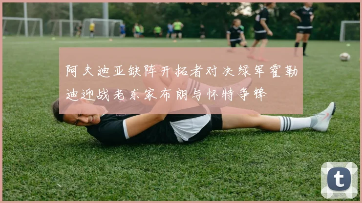 阿夫迪亚缺阵开拓者对决绿军霍勒迪迎战老东家布朗与怀特争锋